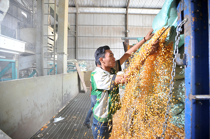 PT. Seger Agro Nusantara - Sumengko
