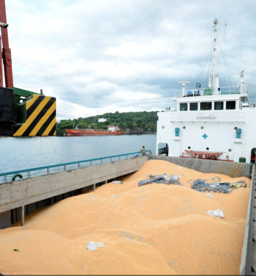 PT. SEGER AGRO NUSANTARA