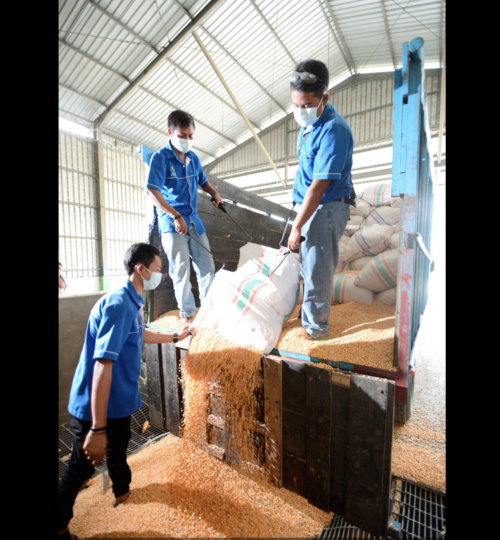 PT. SEGER AGRO NUSANTARA