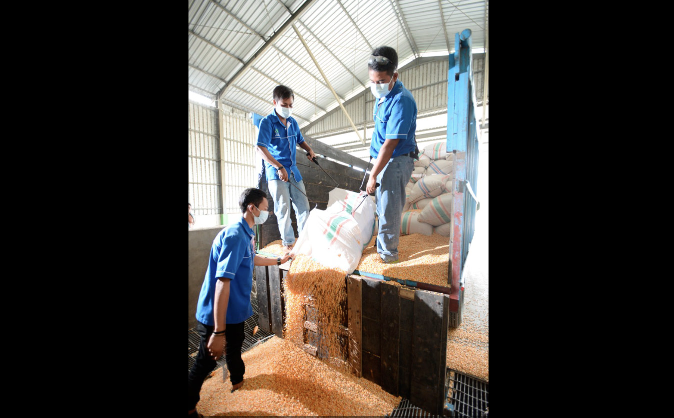 PT. SEGER AGRO NUSANTARA